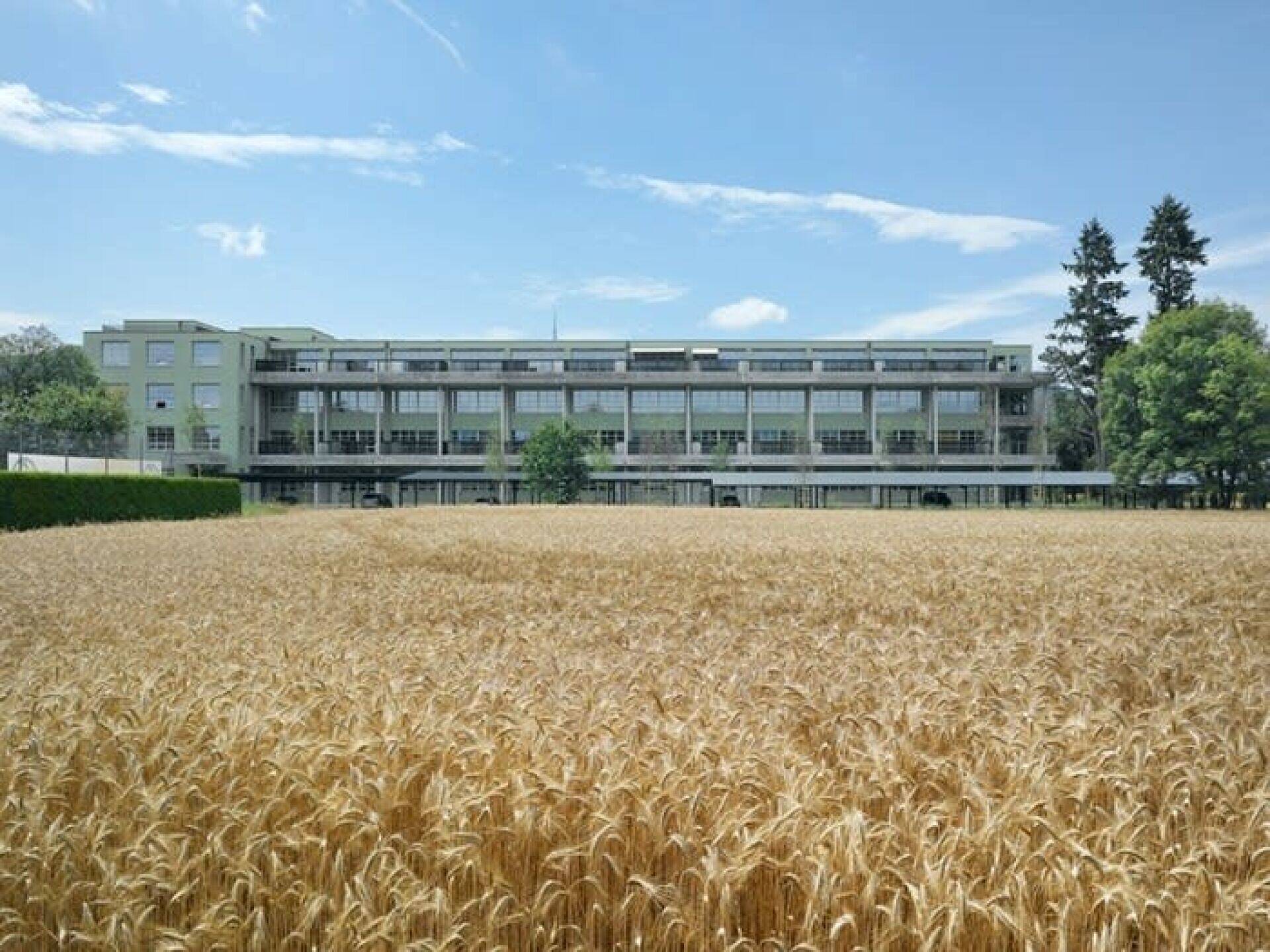 93 m2 Loft mit 4 Meter Raumhöhe